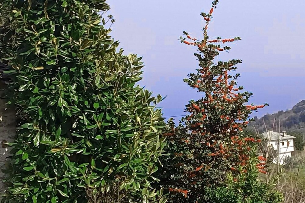 Photo of Outdoor in Makrirrakhi
