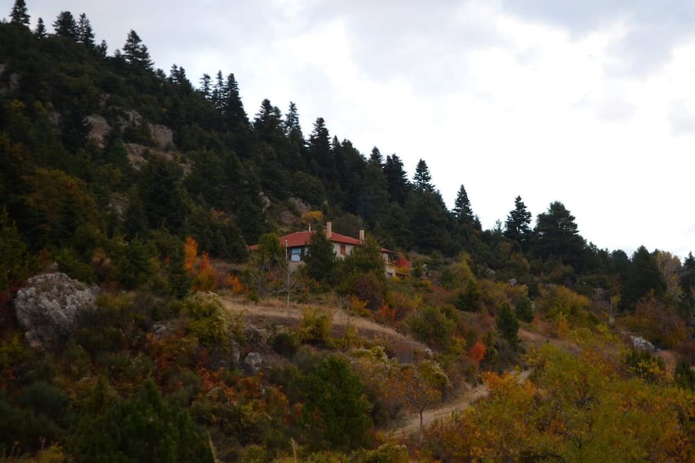 Photo of Outdoor in Synikia Mesi Trikalon