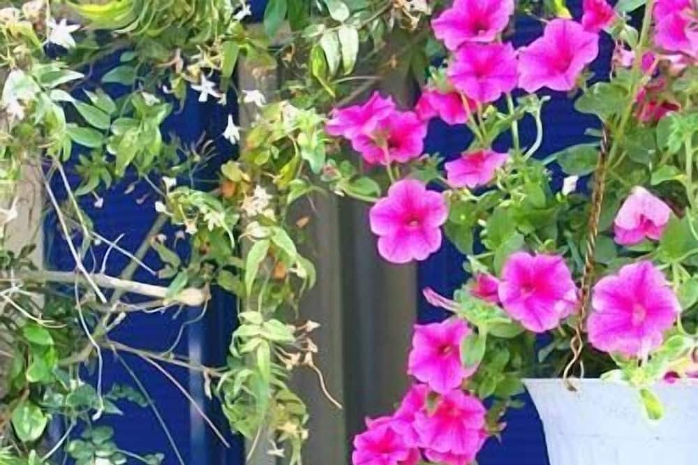 Photo of Outdoor in Eretria