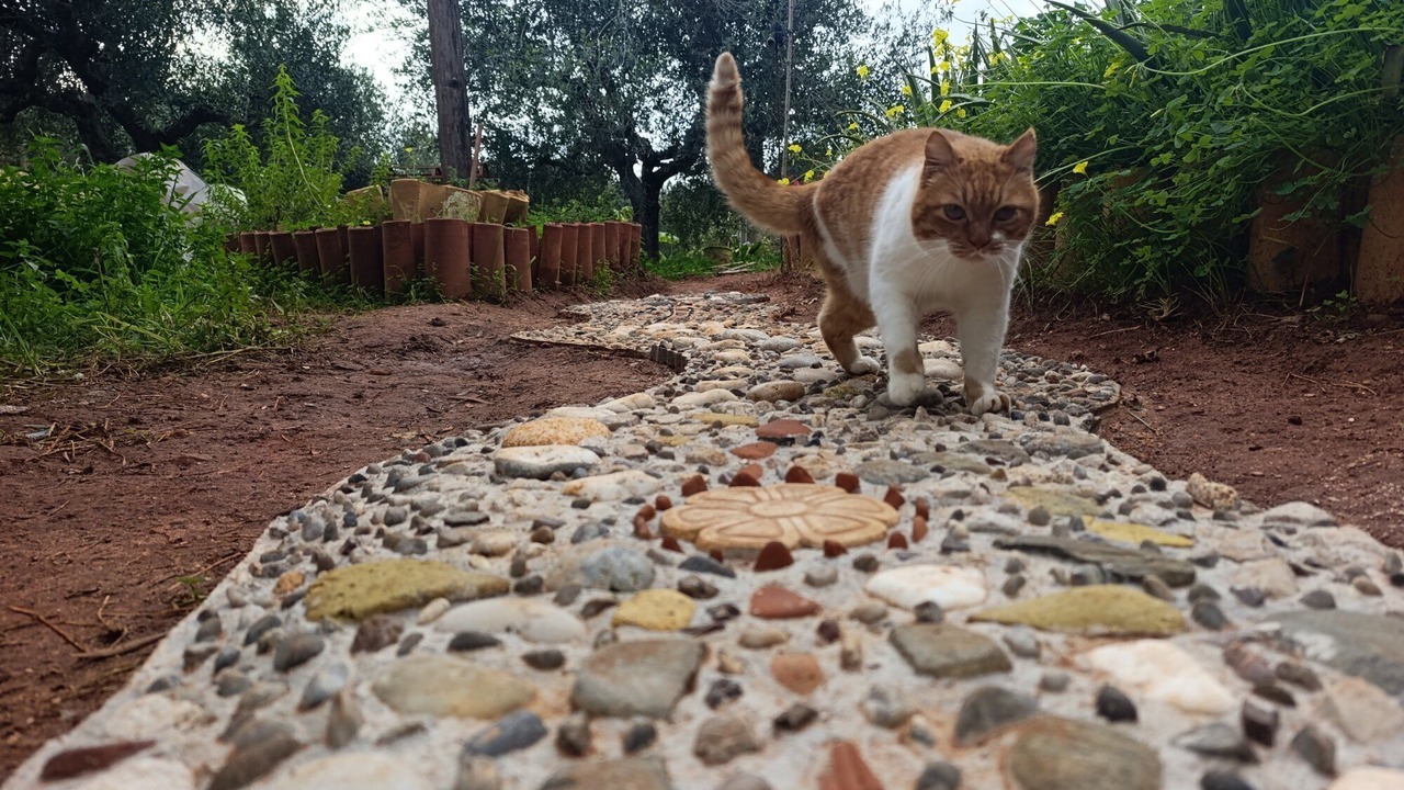 Photo of Outdoor in Marathopoli