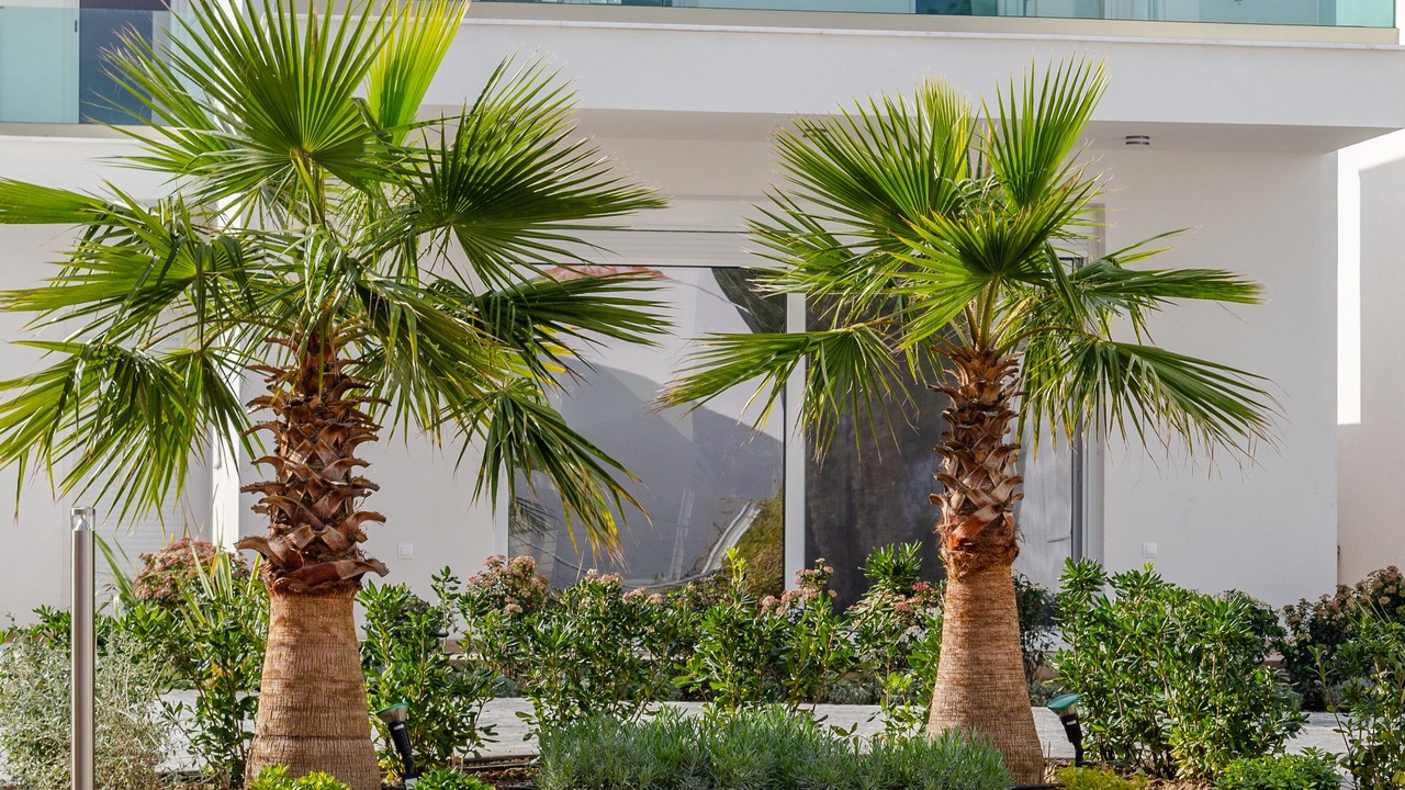 Photo of Outdoor in Ormos Panagias