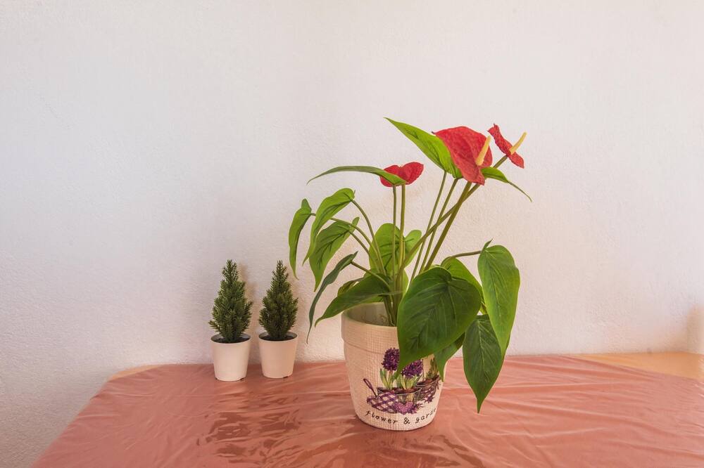 Photo of Bedroom in Ag. Georgios