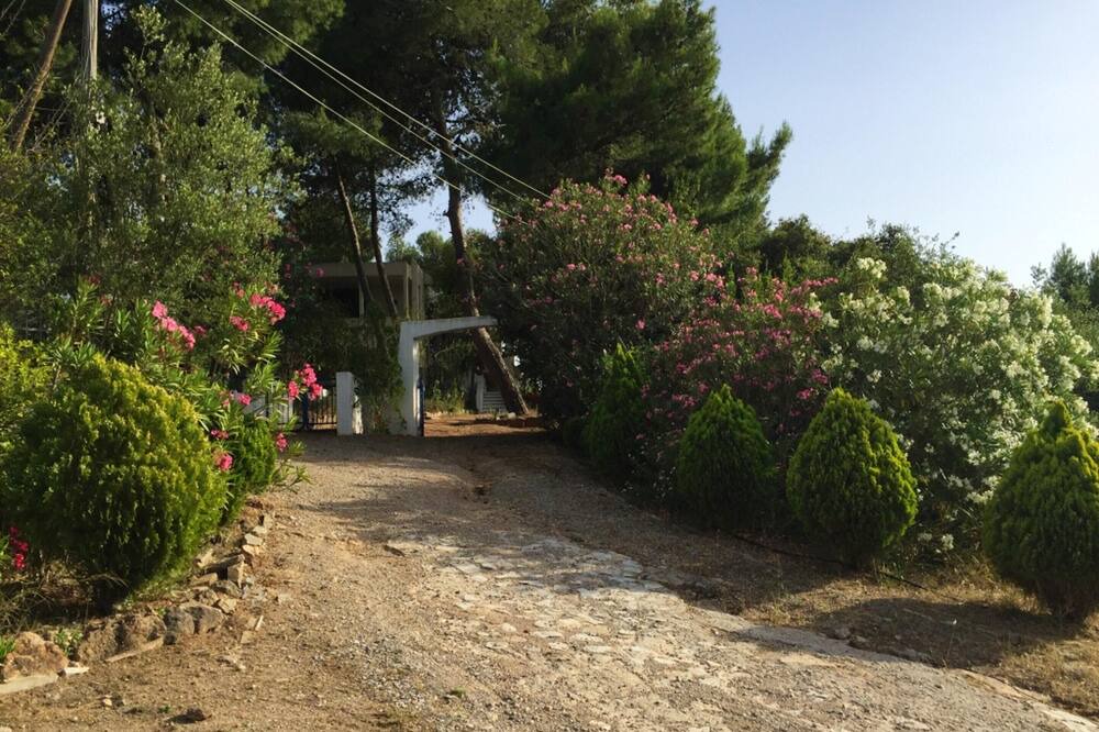 Photo of Outdoor in Chalcis