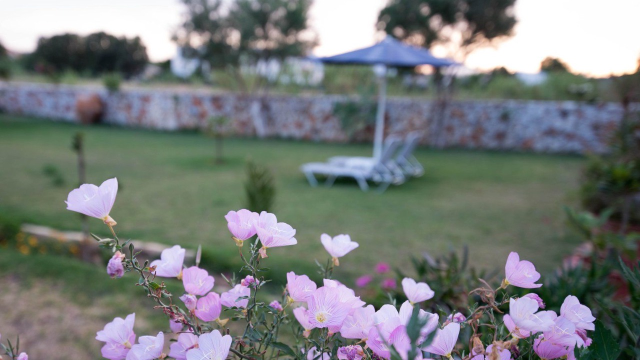 Photo of Outdoor in Gerani