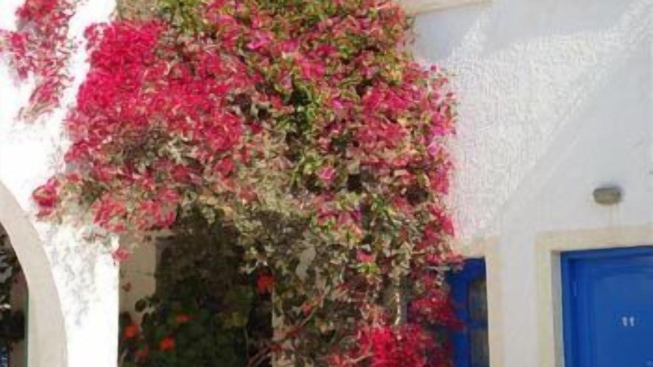 Photo of Outdoor in Agia Pelagia