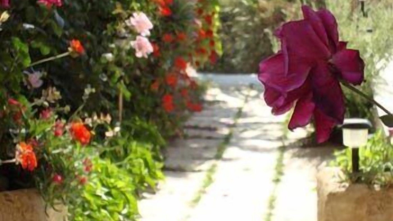 Photo of Outdoor in Agia Pelagia