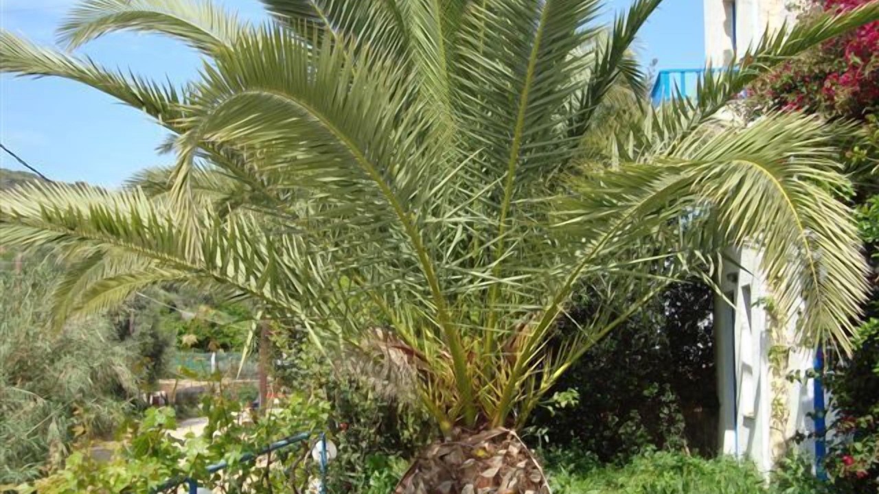 Photo of Outdoor in Agia Pelagia
