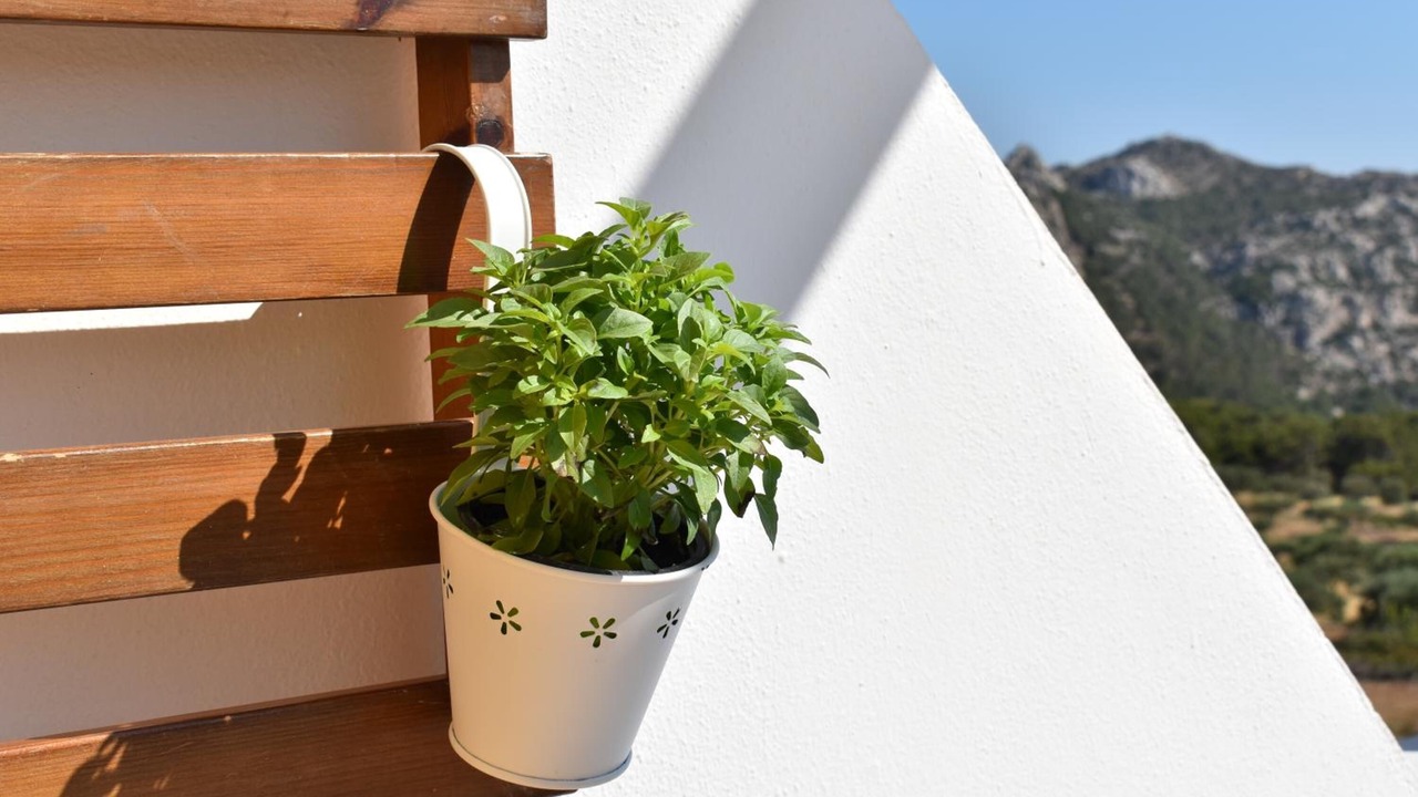 Photo of Outdoor in Lefkos