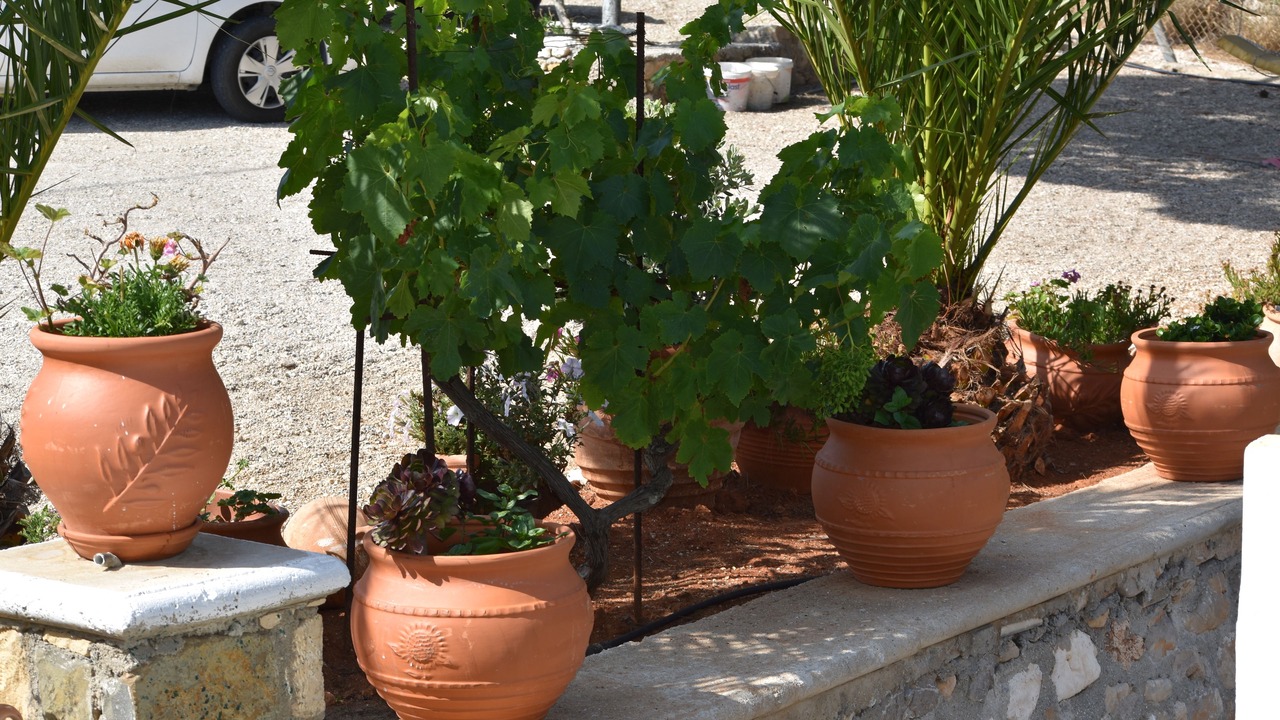 Photo of Outdoor in Lefkos