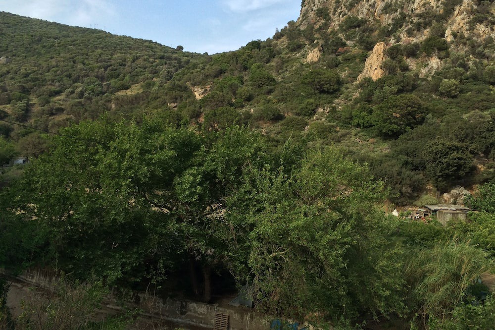 Photo of Outdoor in Therma