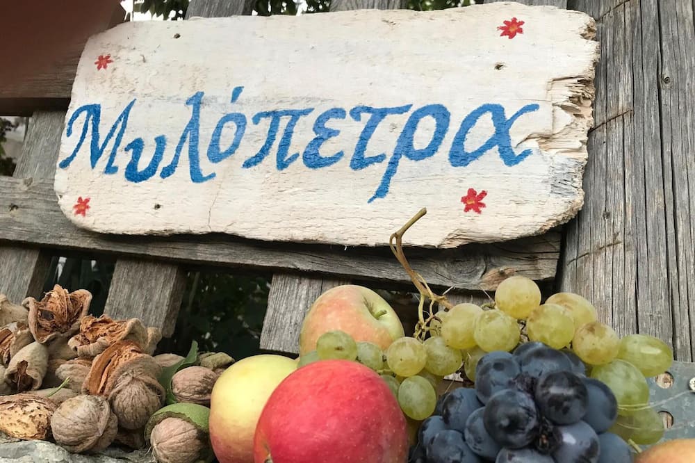Photo of Outdoor in Minoa Pediada