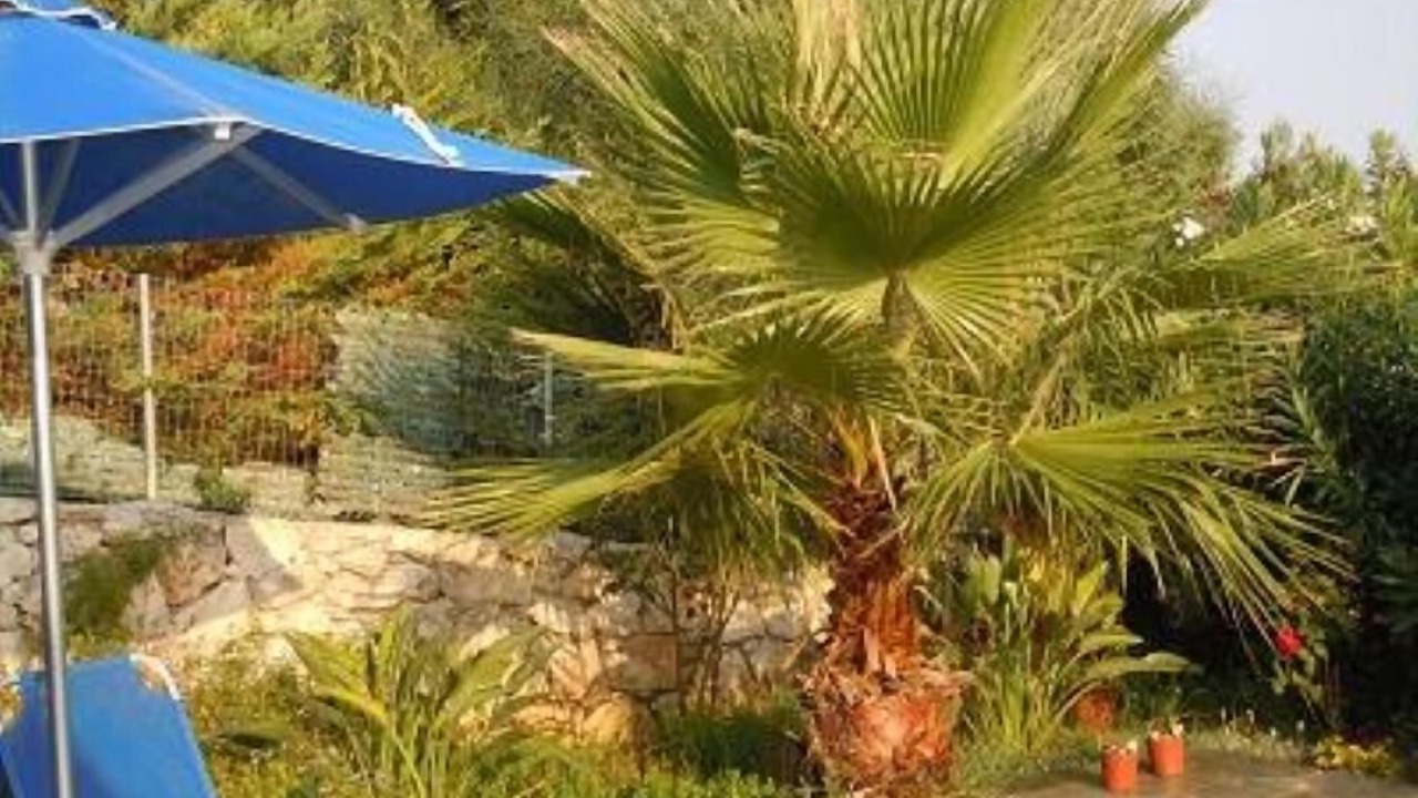 Photo of Outdoor in Agia Triada