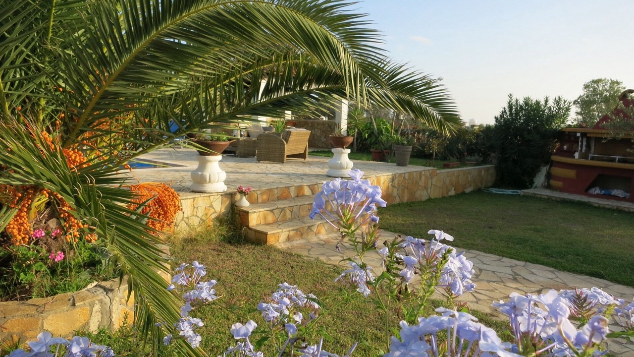 Photo of Outdoor in Dafnata