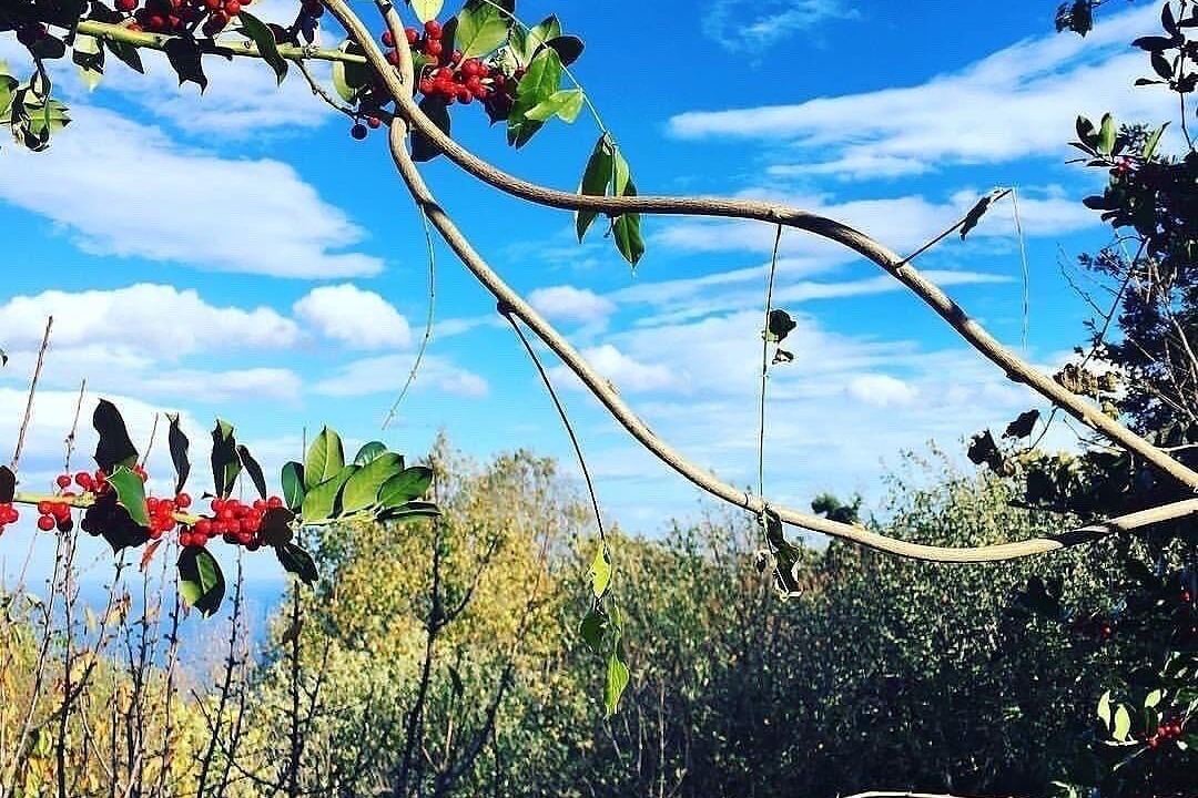 Photo of Outdoor in Mouresi