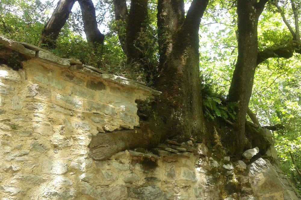 Photo of Others in Megali Mantineia