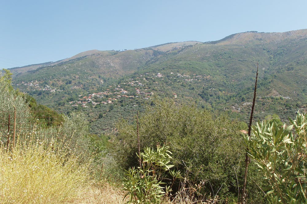 Photo of Others in Megali Mantineia