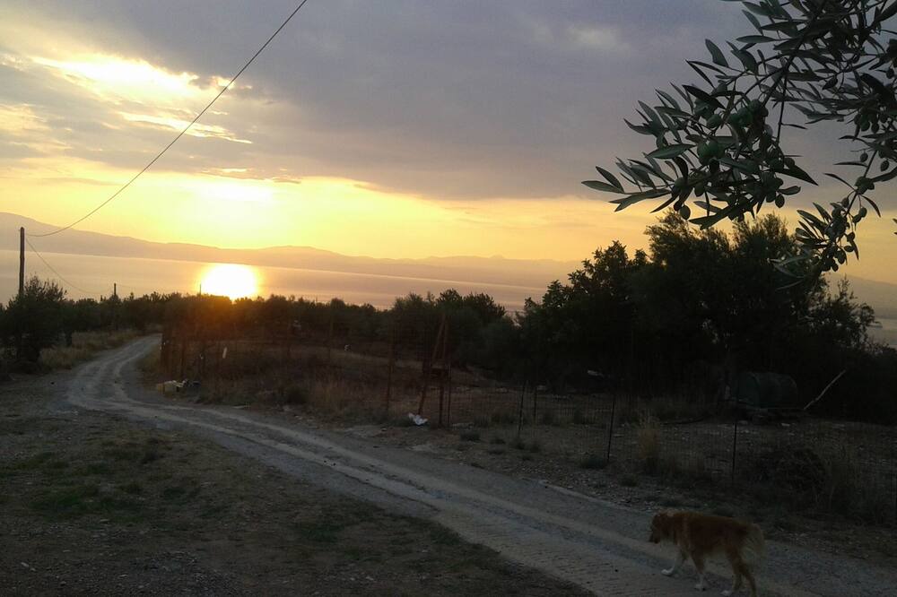 Photo of Others in Megali Mantineia