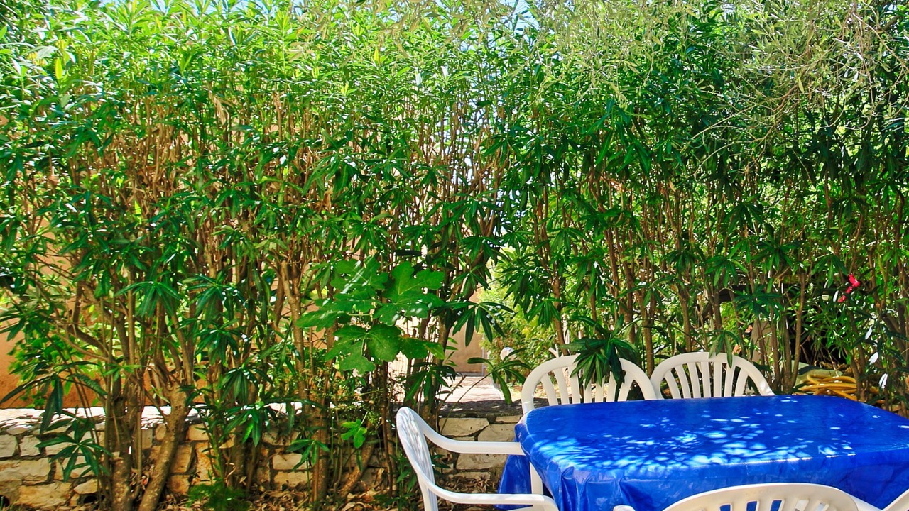Photo of Outdoor in Barbati