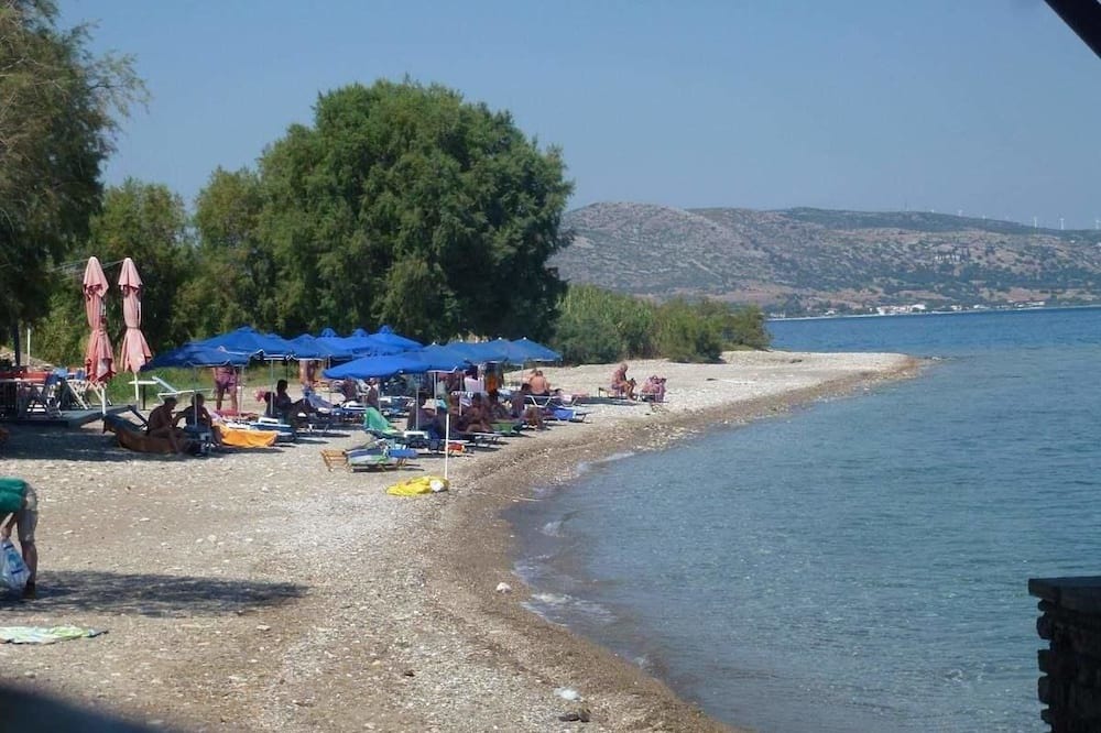 Photo of Others in Ireon