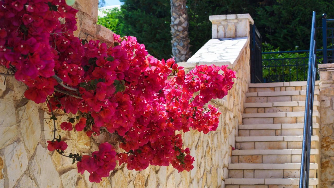 Photo of Outdoor in Dassia