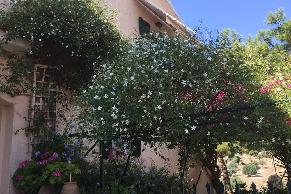 Photo of Outdoor in Minia