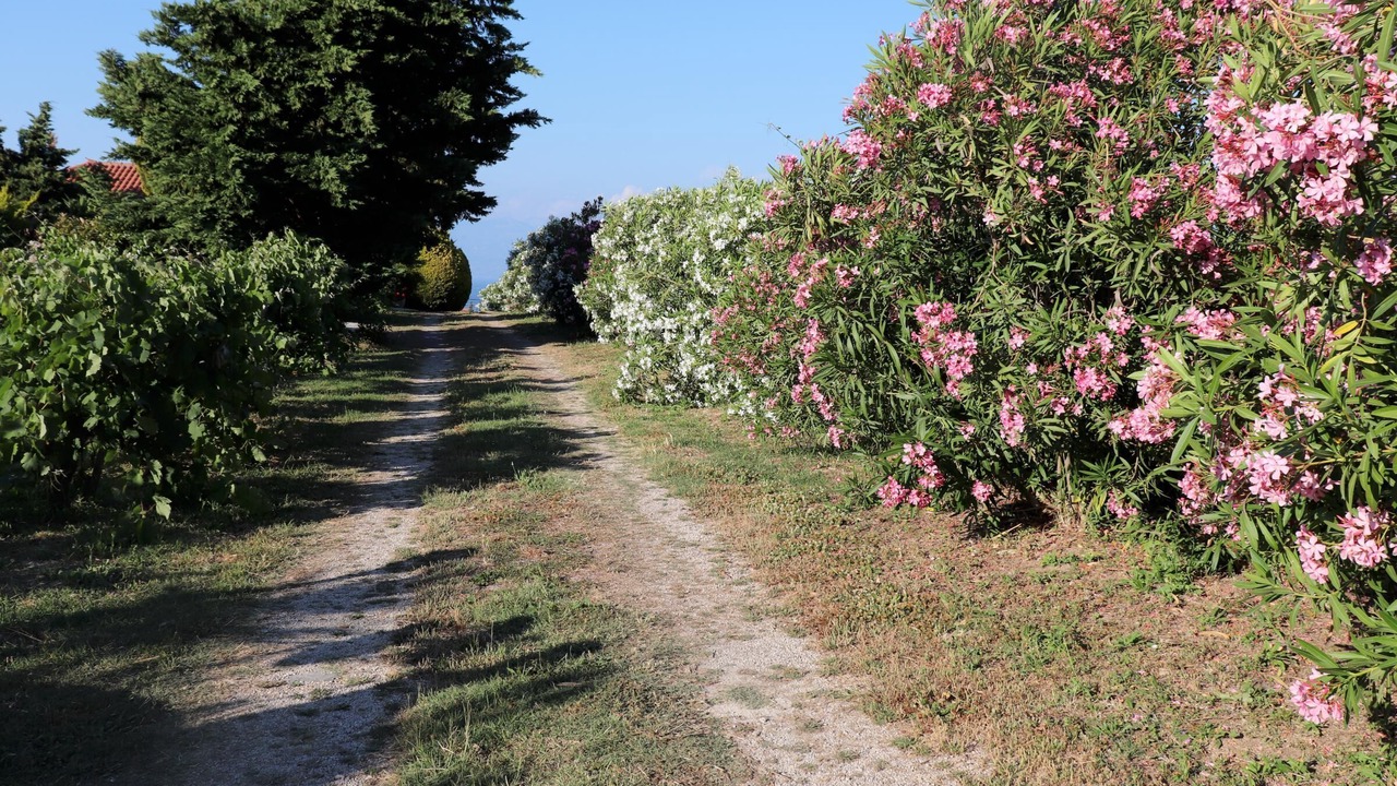 Photo of Outdoor in Pylos-Nestoras