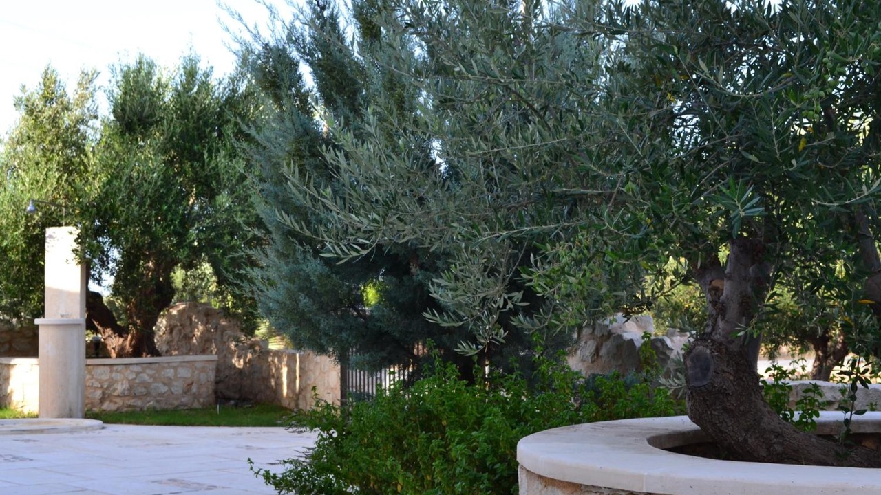 Photo of Outdoor in Agkathia