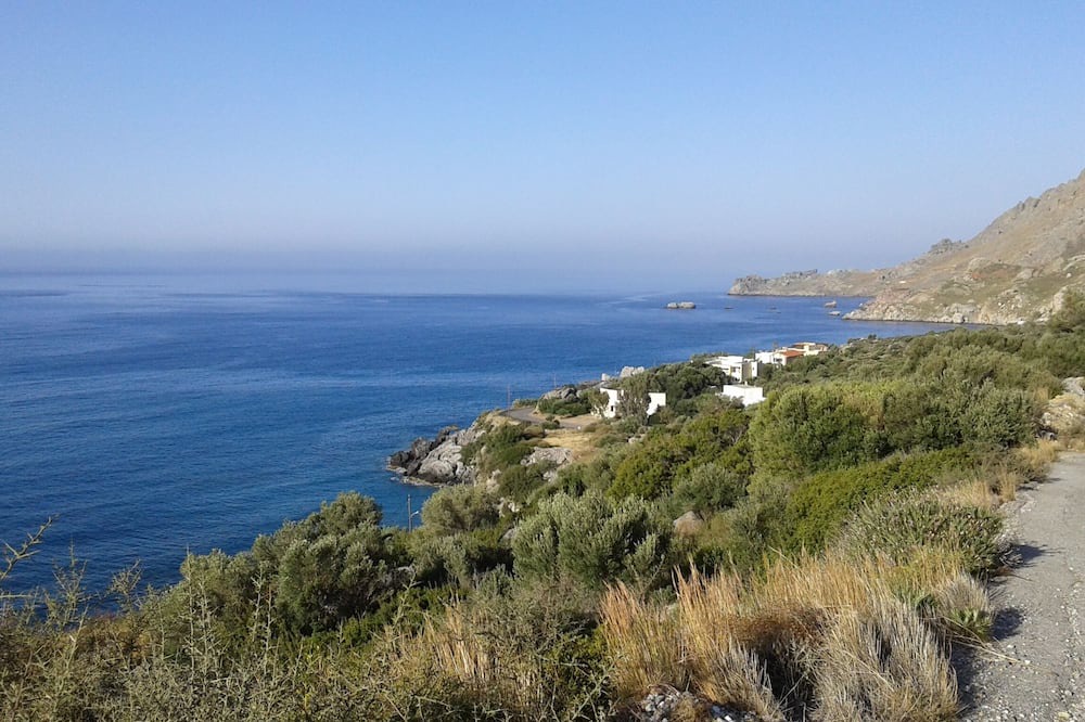 Photo of Others in Souda