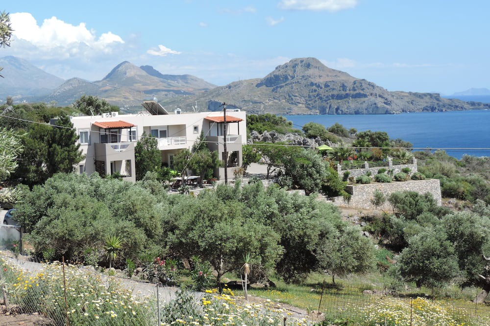 Photo of Others in Souda