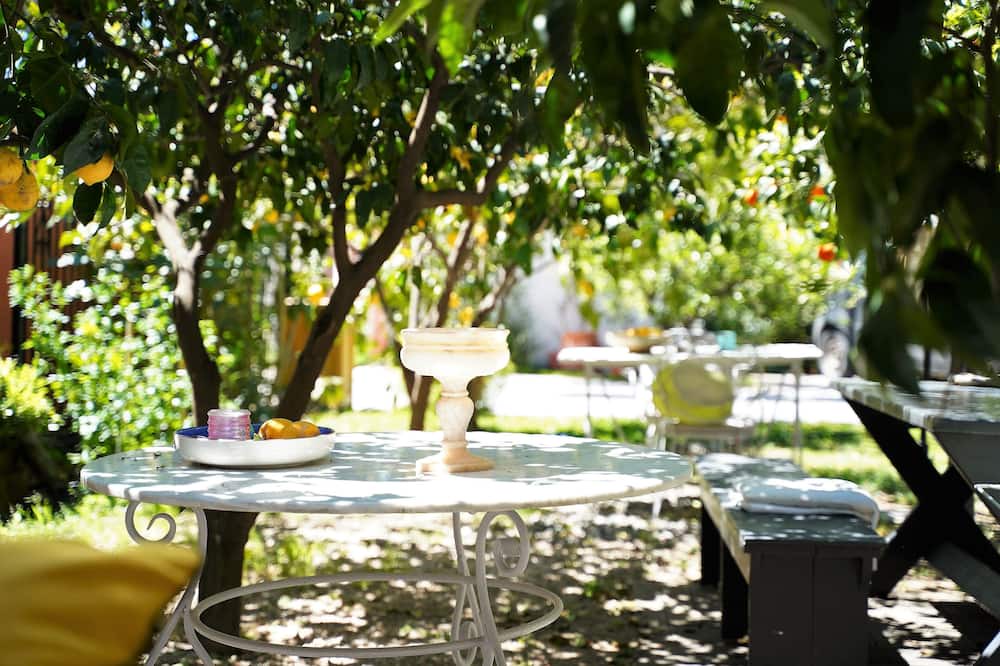 Photo of Outdoor in Paradhisos