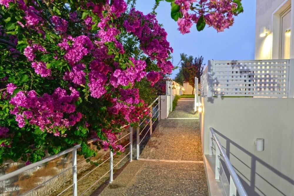 Photo of Outdoor in Platanes