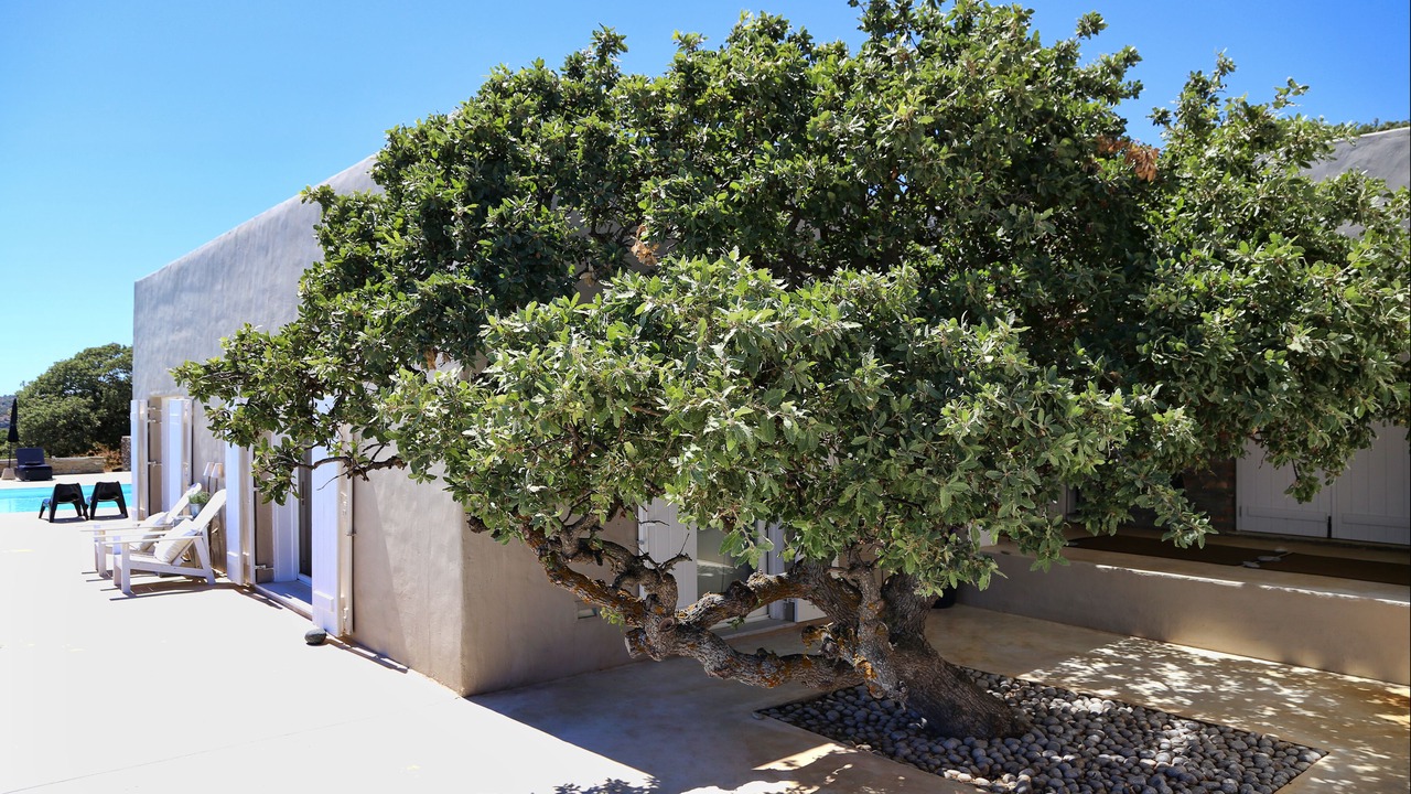 Photo of Outdoor in Kea