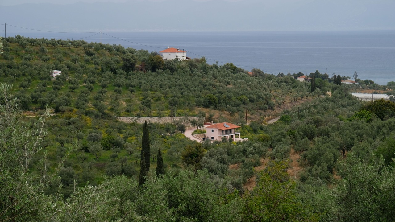 Photo of Outdoor in Kompi