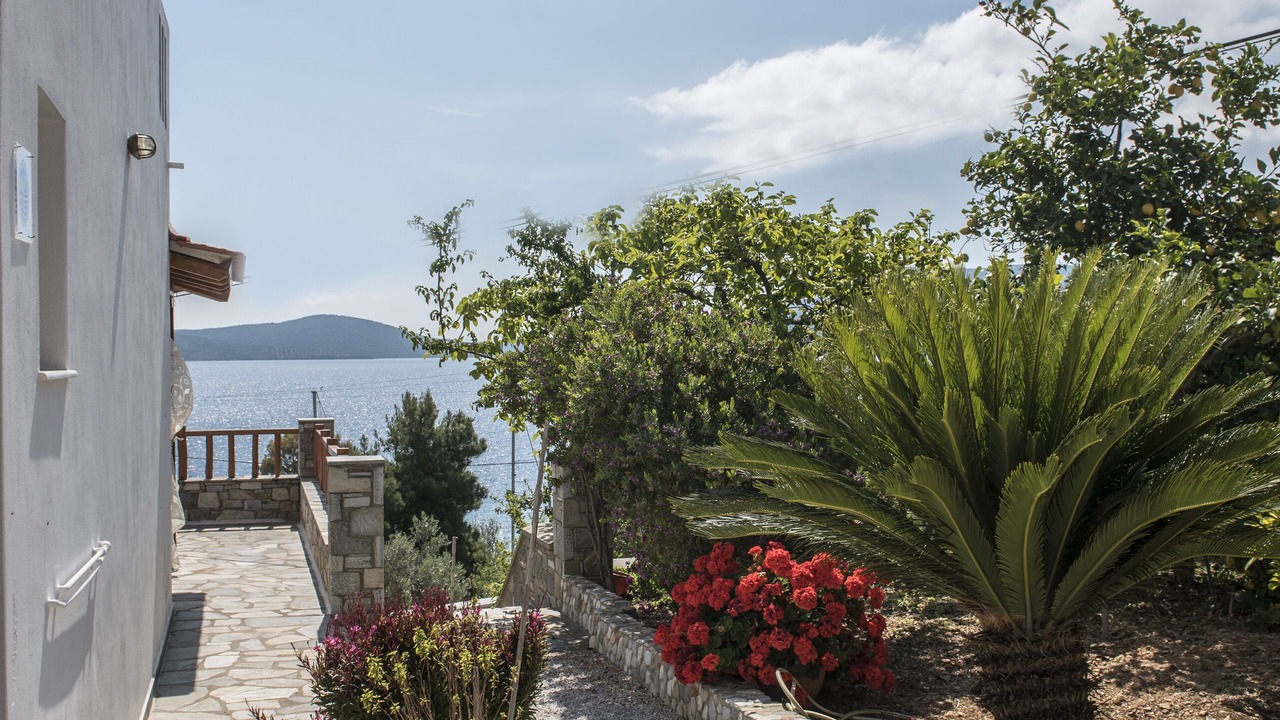 Photo of Outdoor in Nimfea
