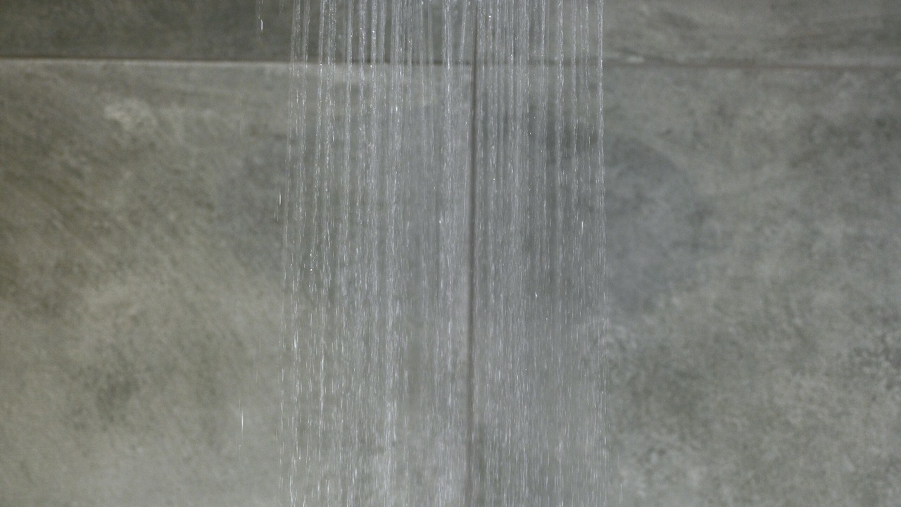 Photo of Bathroom in Platanos