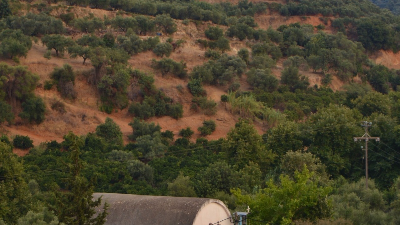Photo of Outdoor in Platanias