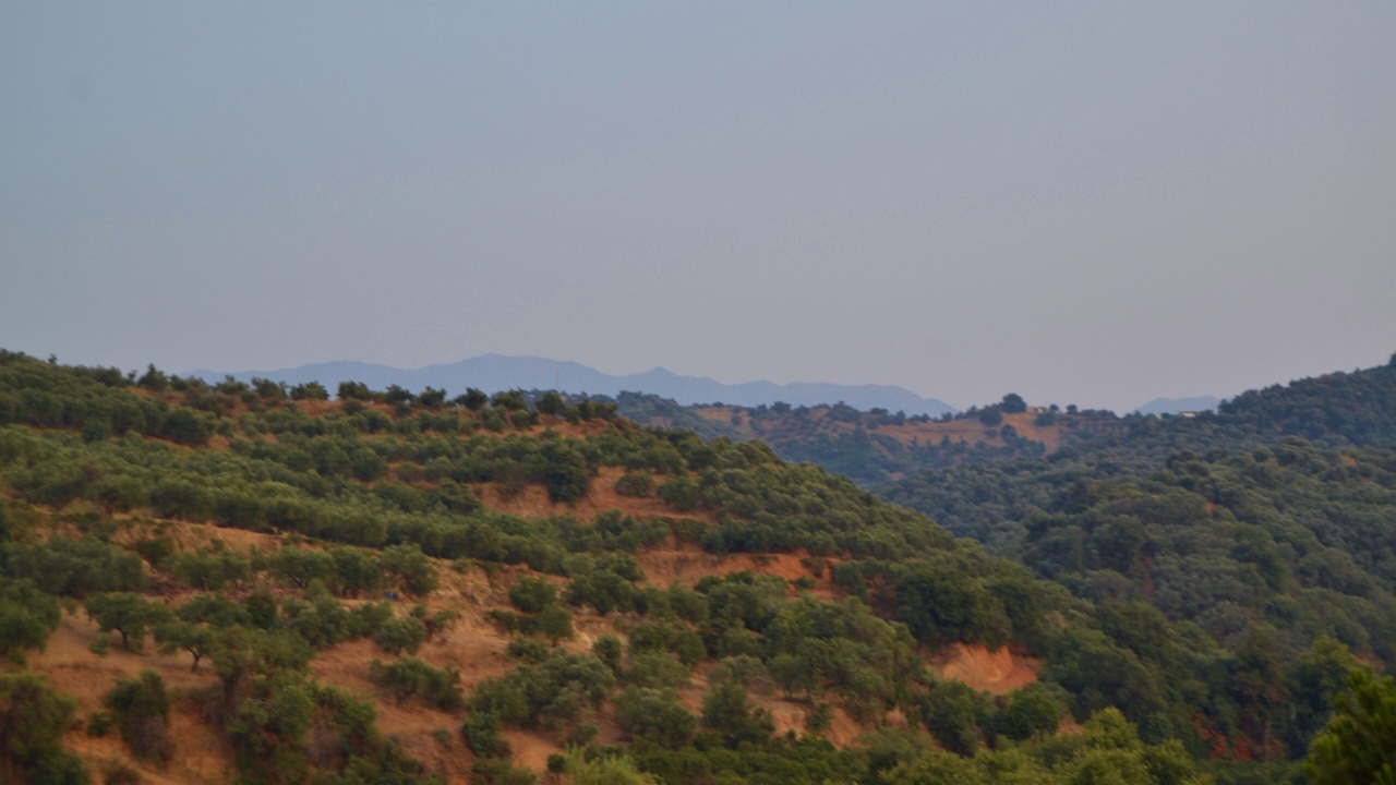 Photo of Others in Platanias