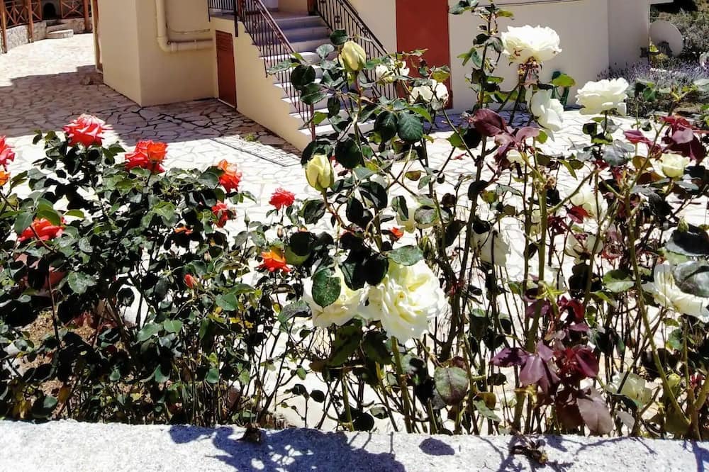 Photo of Outdoor in Kilada