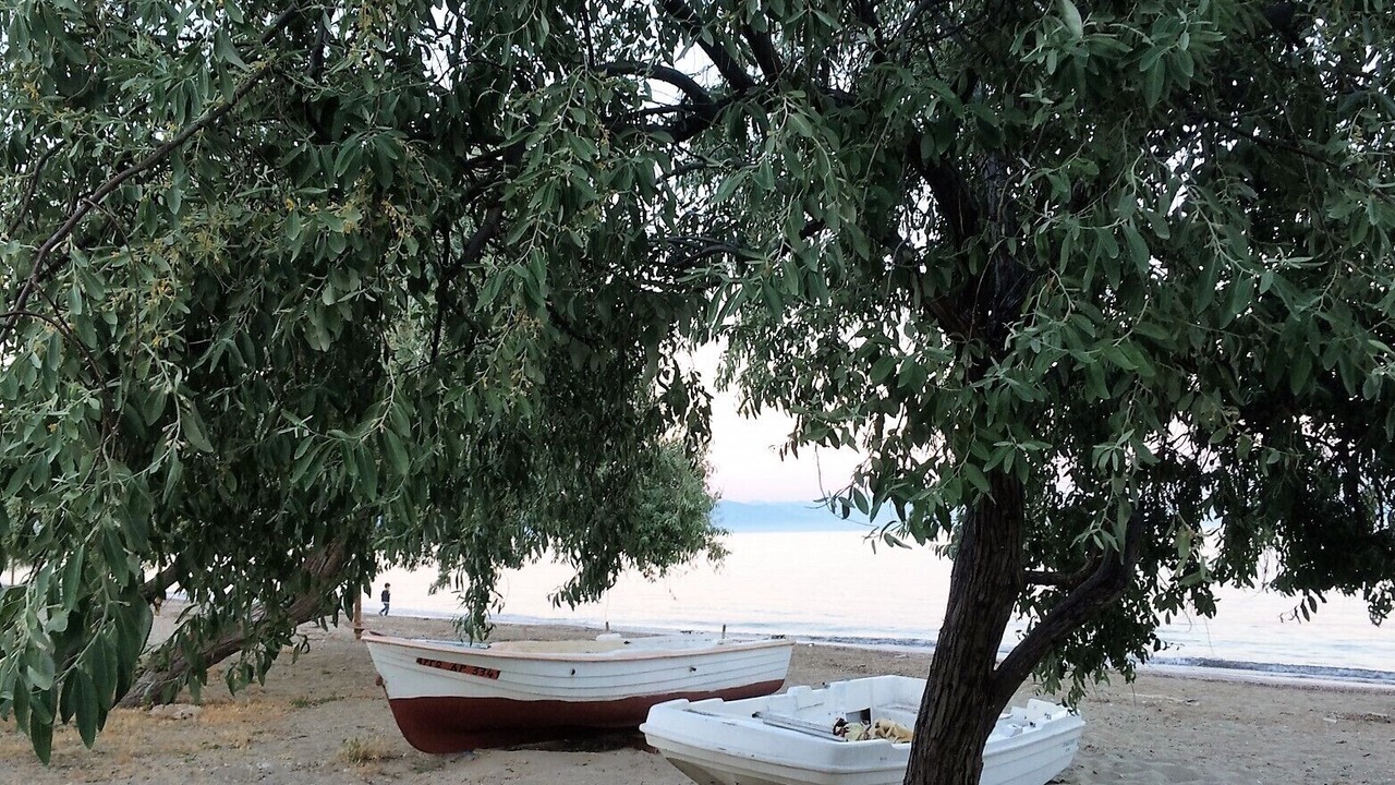 Photo of Outdoor in Marathon