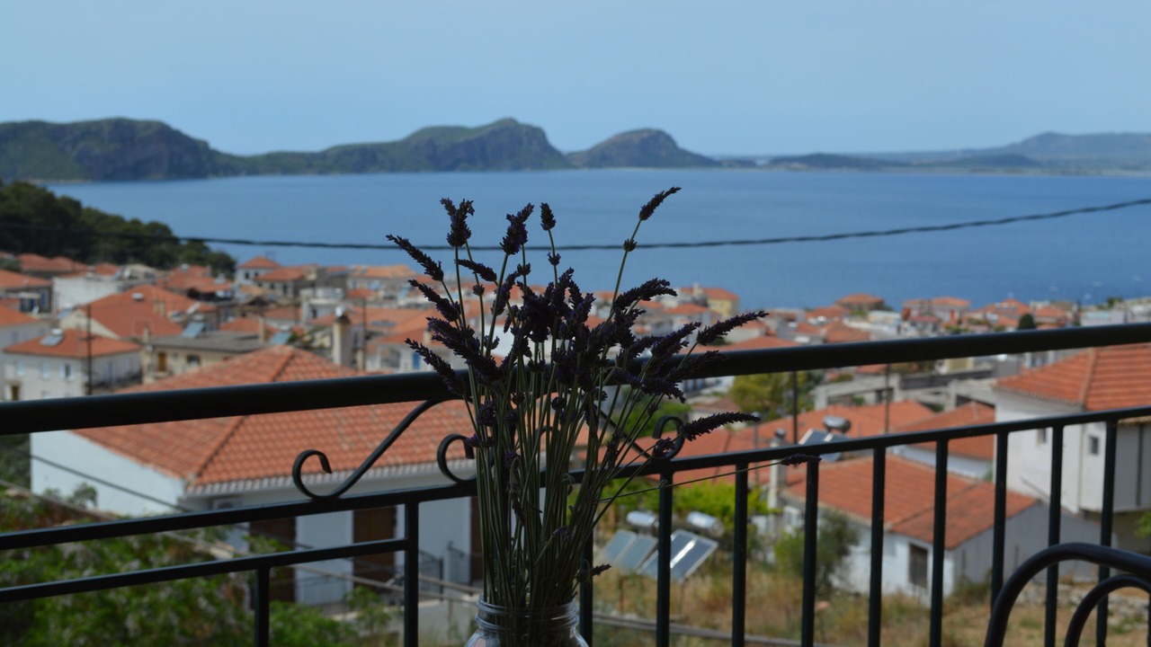 Photo of Others in Pylos