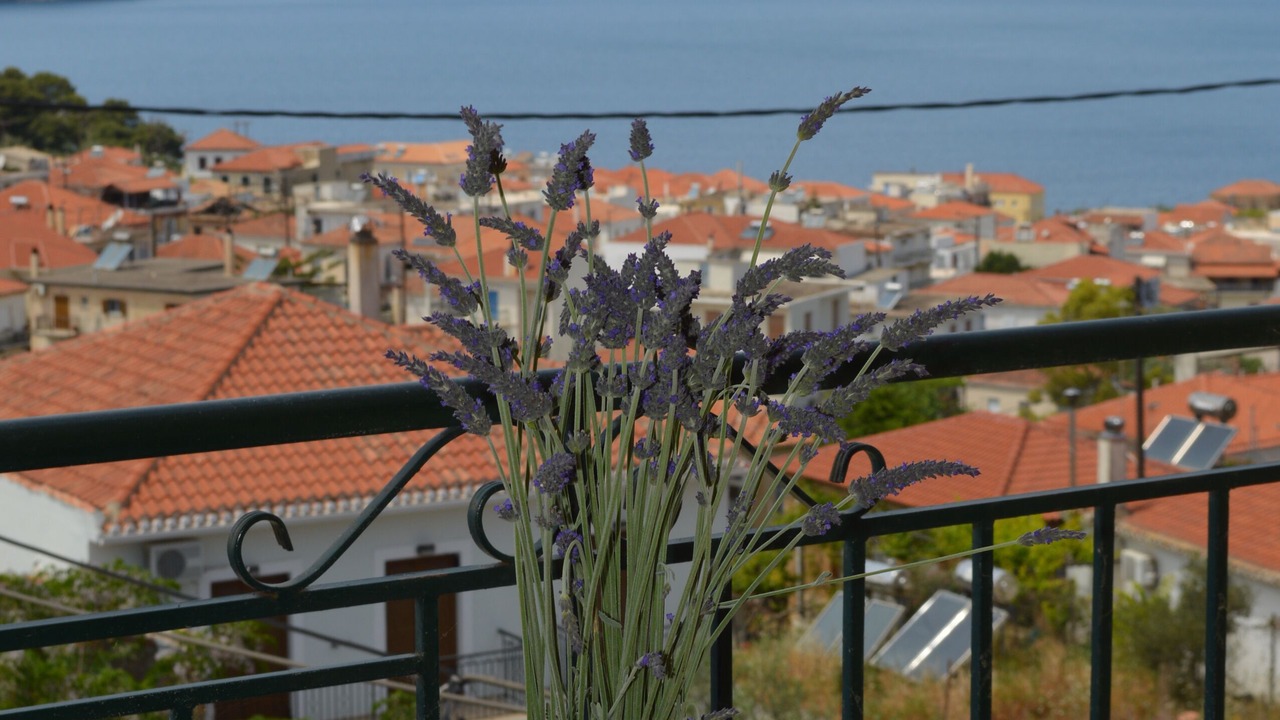 Photo of Others in Pylos