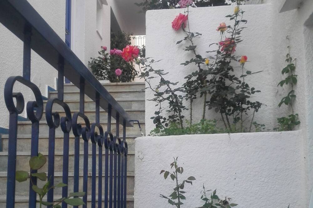 Photo of Outdoor in Poros