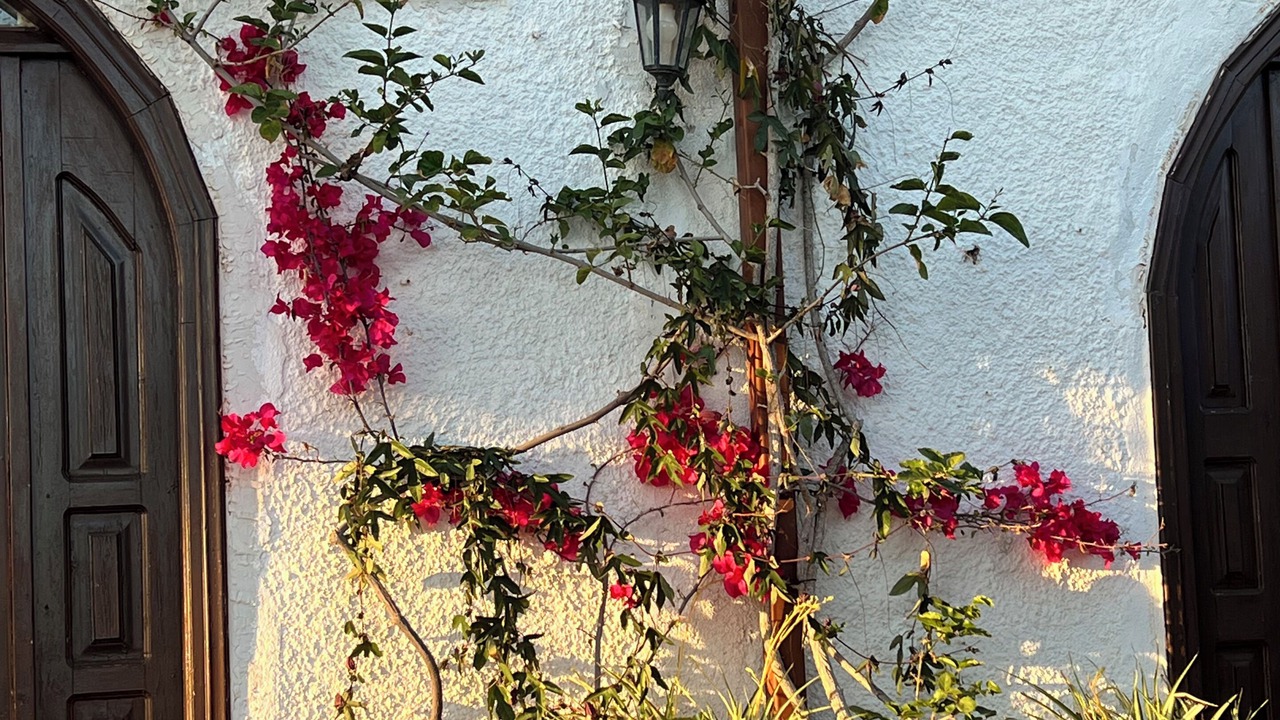 Photo of Outdoor in Pefkari