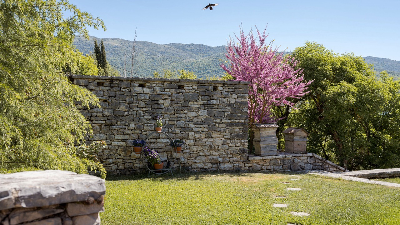 Photo of Outdoor in Zagori