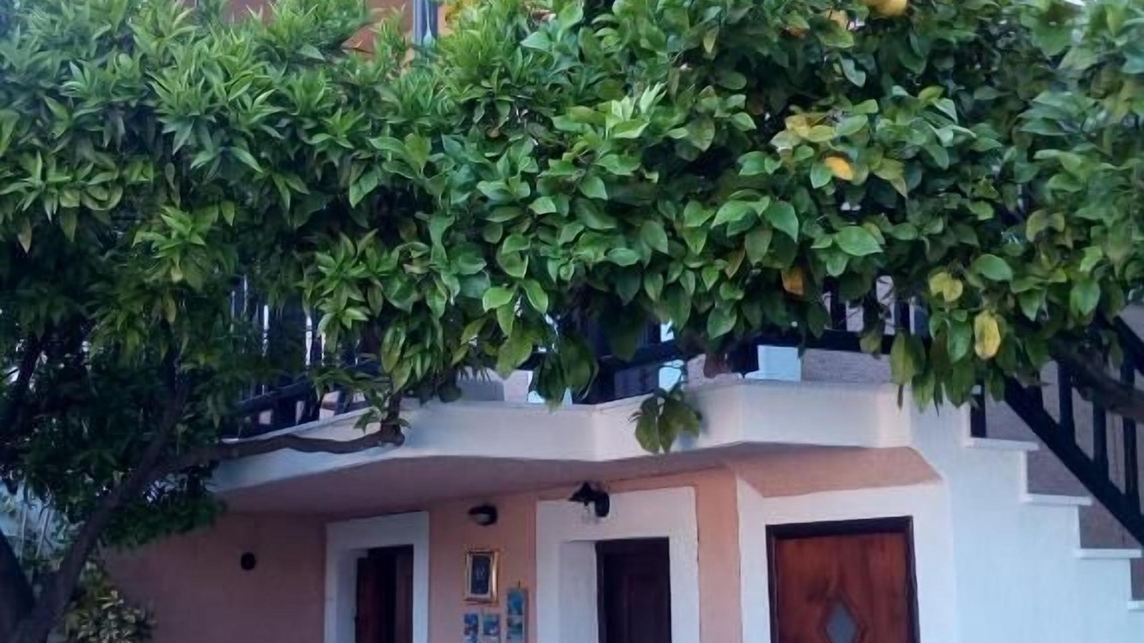 Photo of Outdoor in Skopelos