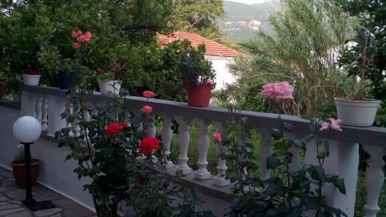 Photo of Others in Skopelos