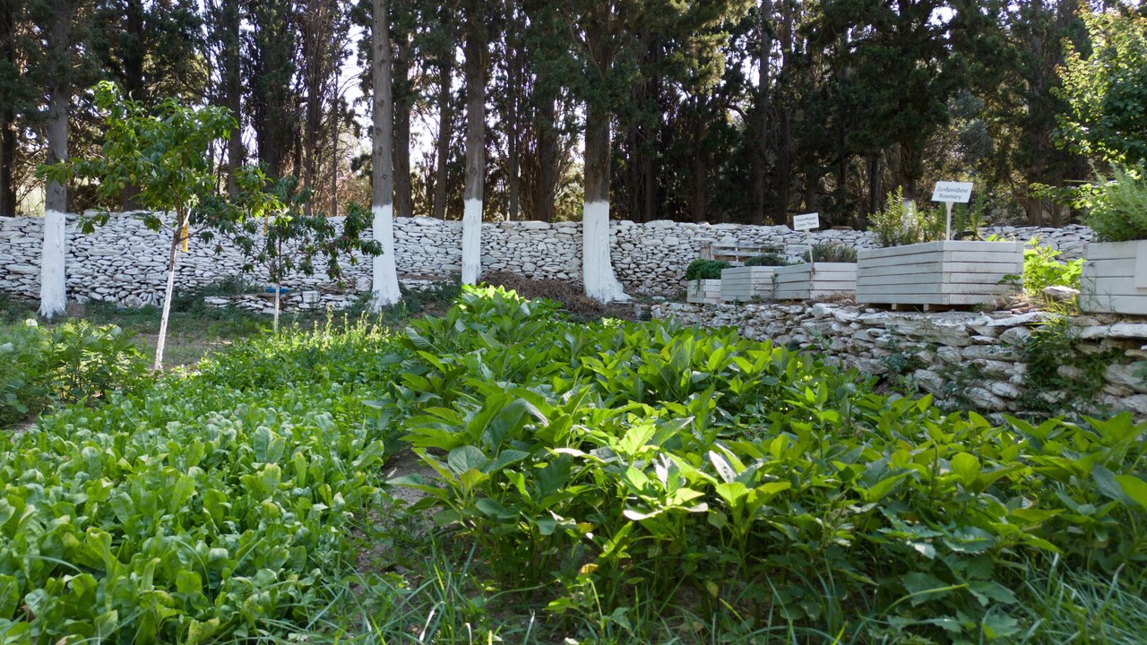 Photo of Outdoor in Steniai
