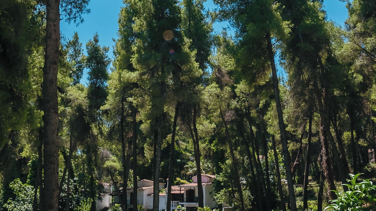 Photo of Outdoor in Sane
