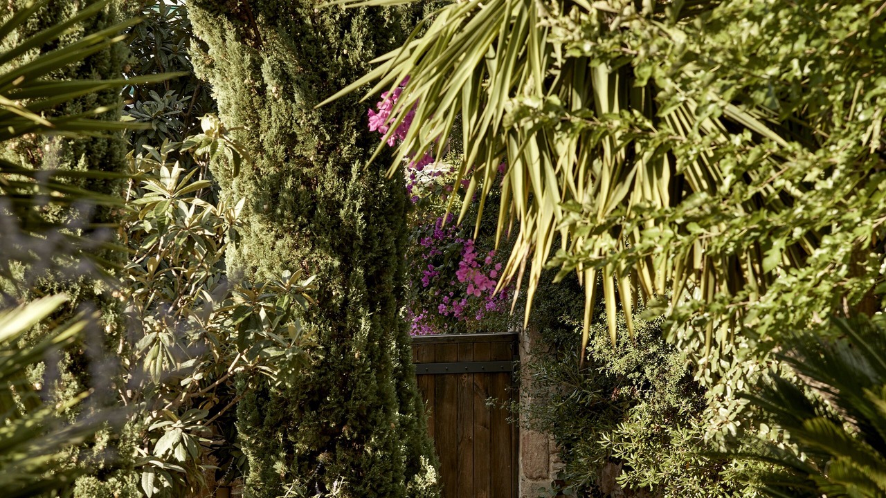 Photo of Outdoor in Lourdata