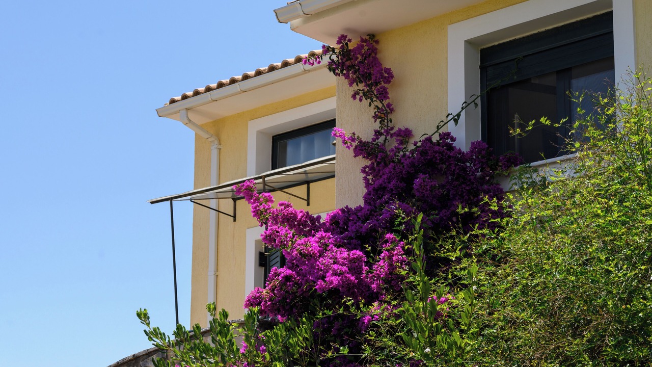 Photo of Outdoor in Kaligata